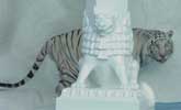 Tiger and Statue